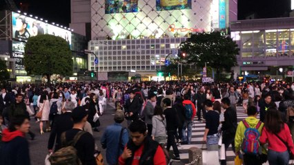 Shibuya crossing night view 2