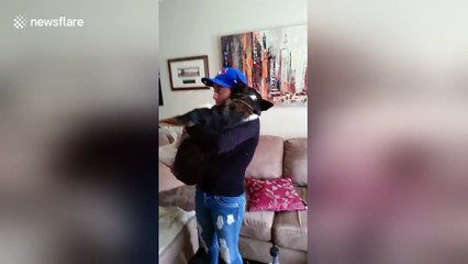 Dog thinks he's a big baby