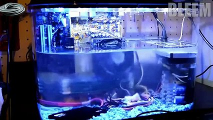 DO NOT WATCH THIS VIDEO ON FRIDAY   MIND BLOWING    - Most Satisfying Video in the World