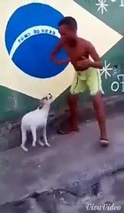 dog dancing with a man