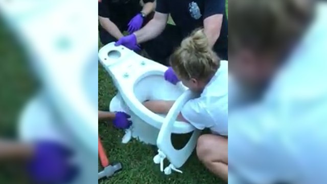 Elle se coince le bras dans la cuvette en voulant déboucher ses toilettes