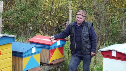 Odc. 5 Amolowe ciekawostki o miodzie