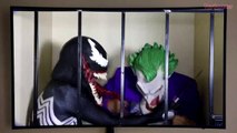 SPIDER ELSA CAPTURES Joker & Venom for Trying to Escape w_ Spiderman, Minnie Mouse & Batman-4qJT7Ir