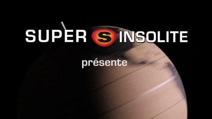 Le Globe terrestre en liège