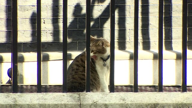 Theresa May heads to PMQs