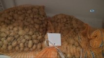 Niğde Patates Araştırma Enstitüsü Müdürü Uğur Pırlak: 