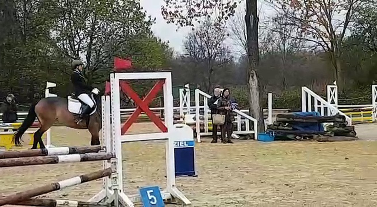 RA5 Abzeichenprüfung Springen