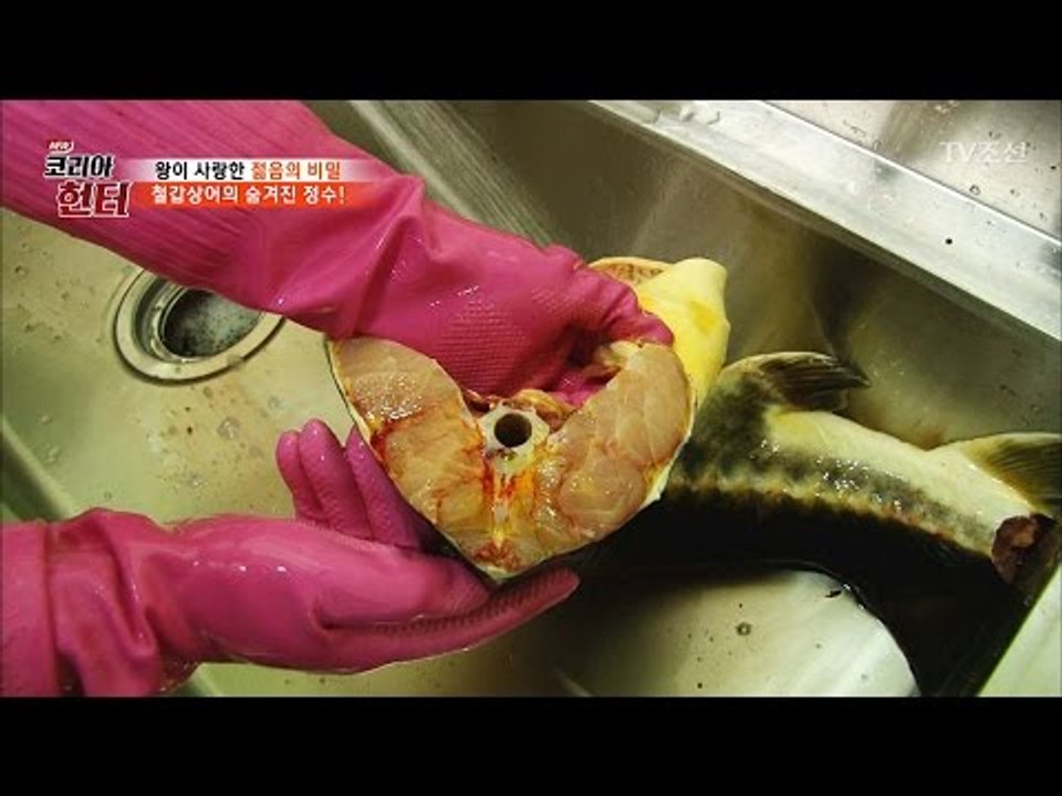 [잔인] 상어 몸에서 골수 빼는 영상 [뉴 코리아 헌터] 40회 20170306
