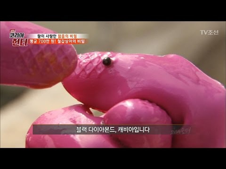 상어 몸속에서 찾은 블랙 다이아몬드! [뉴 코리아 헌터] 40회 20170306