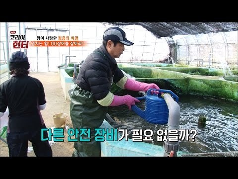 헌터! 안전장비없이 상어를 잡으러간다! [뉴 코리아 헌터] 40회 20170306