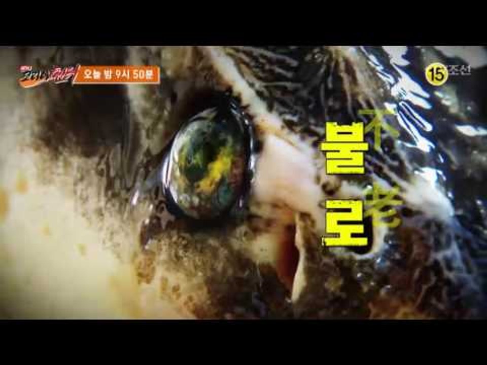 왕이 사랑한 젊음의 비밀!_코리아헌터 40회 예고