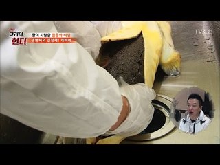 상어의 배를 열었더니, 캐비아가 무더기로! [뉴 코리아 헌터] 40회 20170306