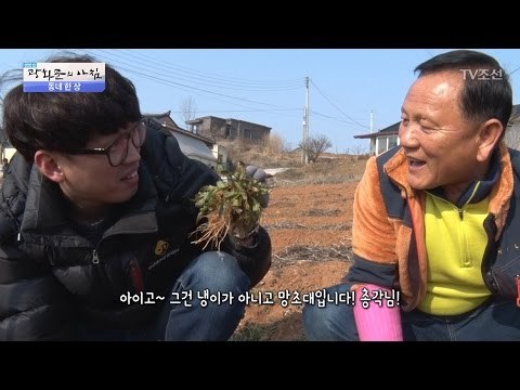 충남 서산 최고의 봄나물, 냉이를 찾아라! [광화문의 아침] 434회 20170306