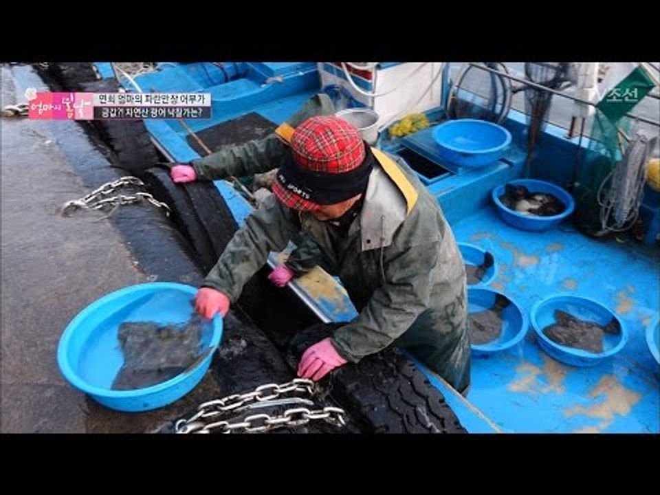 상상초월, 금값 자연산 광어! 아픈 것도 잊은 엄마! [엄마의 봄날] 79회 2017...