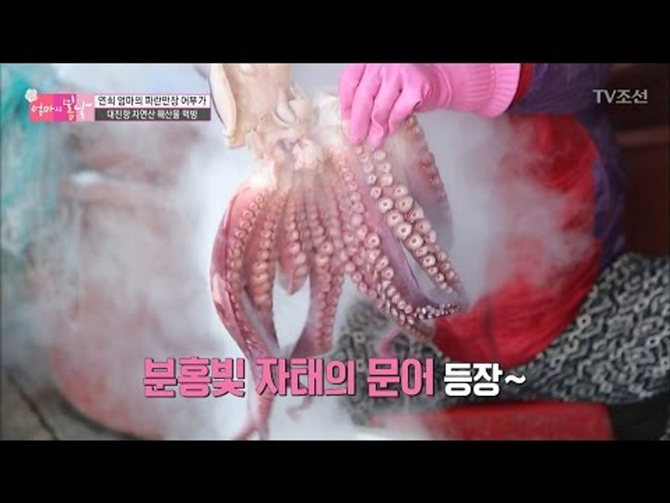 봄날지기를 위한 엄마의 특별한 선물, 자연산 문어숙회! [엄마의 봄날] 79회 201...