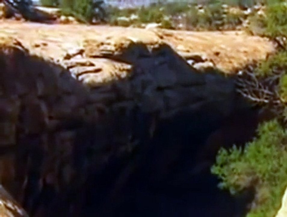 Abenteuer Survival Staffel 1 Folge 1 HD Deutsch