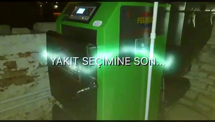 FELLUCE;kat kaloriferi