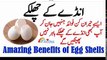 Amazing Benefits of Egg Shells Egg Health Benefits انڈے کے چھلکوں کے فائدے