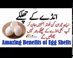 Amazing Benefits of Egg Shells Egg Health Benefits انڈے کے چھلکوں کے فائدے
