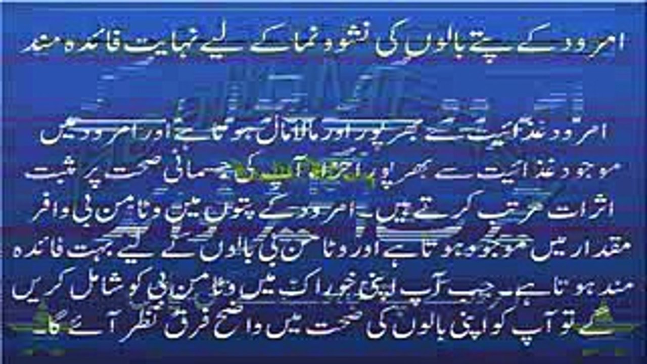 Amrood ke Patton ke Fayde Health Benefits of Guava Leaves in Urdu Hindi امرود کے پتوں کے فوائد