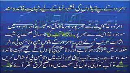 Amrood ke Patton ke Fayde Health Benefits of Guava Leaves in Urdu Hindi امرود کے پتوں کے فوائد