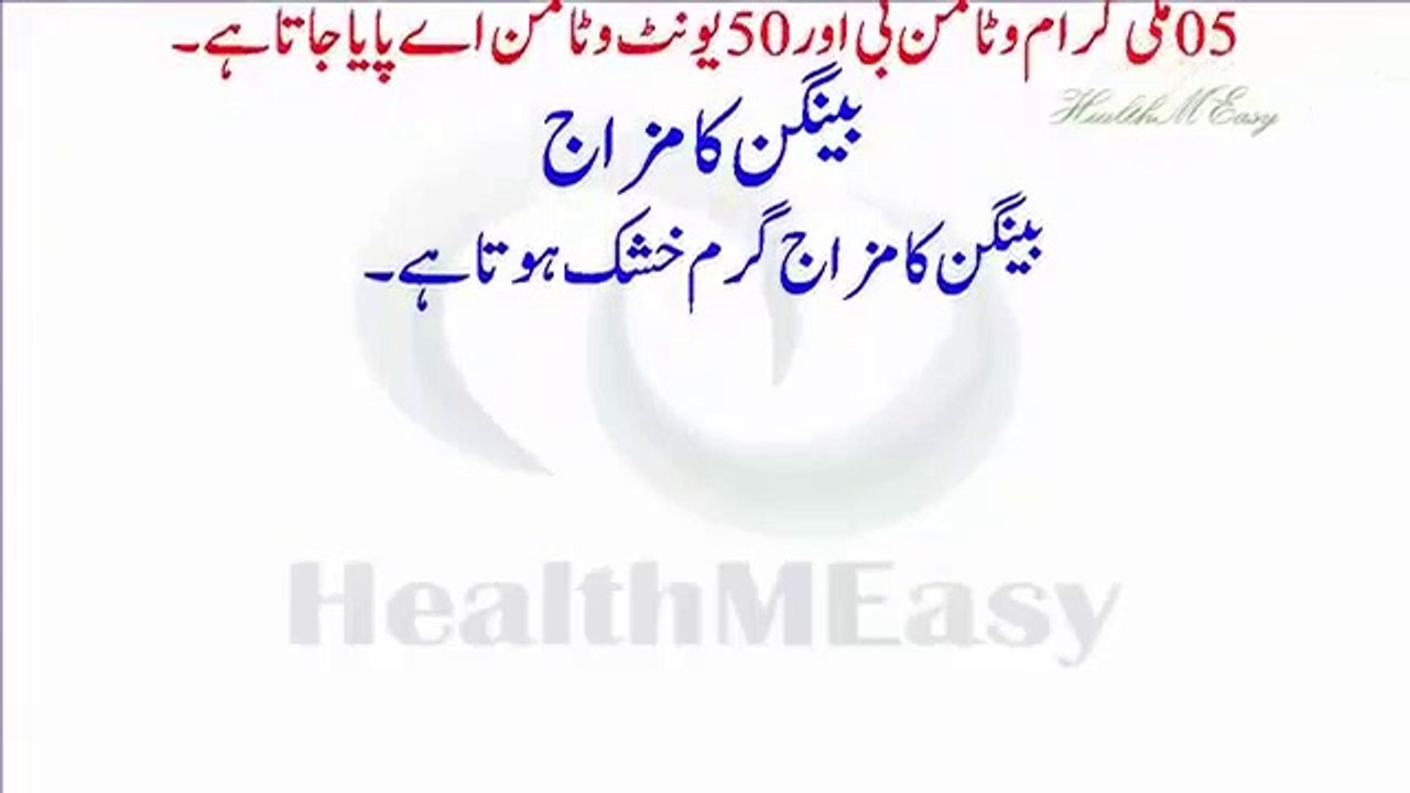 Eggplant Brinjal Benefits Urdu Hindi Video Baingan ke Faide بینگن سبزی کے طبی فوائد