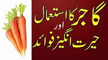 Gajar ke Fayde Health Benefits of Carrot in Urdu Hindi