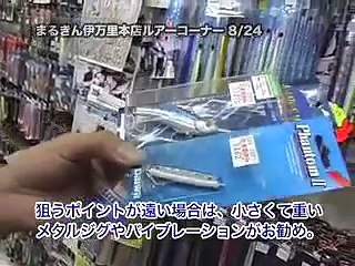 シーバス釣りTDソルトペンシル