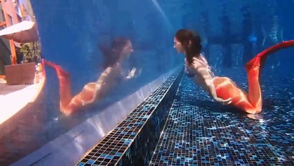 Mermaids swimming underwater