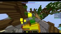 МЕНЯ ЗАБАНИЛИ??? СКАЙВАРС VIMEWORLD MINECRAFT