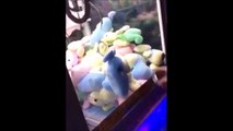 L'astuce pour gagner vos peluches aux jeu des pinces... ahaha