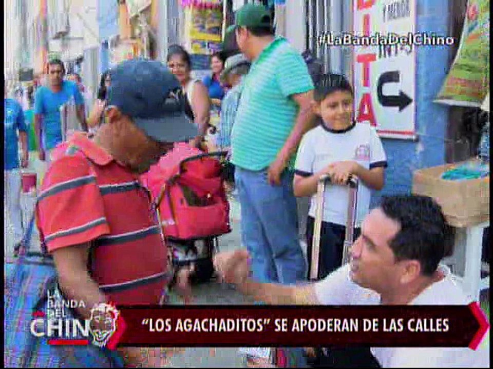 Nota - Los agachaditos se apoderan de las calles