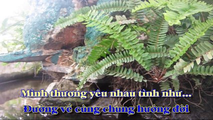 [Karaoke] THU TÍM LÁ VÀNG - Vân Tùng