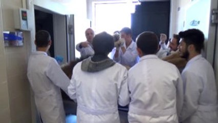 Şanslı Veteriner Adaylarına Aslanlı Eğitim