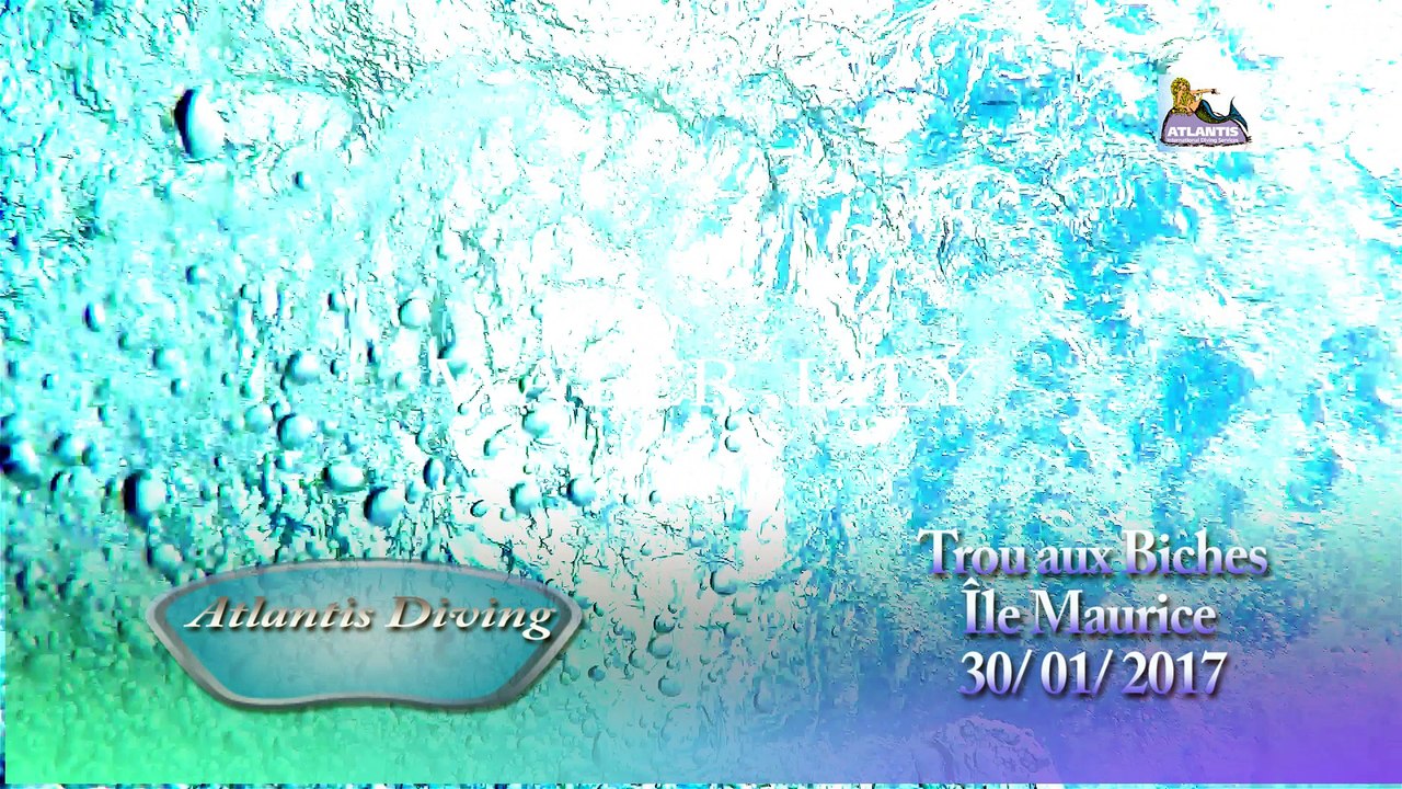 plongée du 30 01 17 water lily mp4