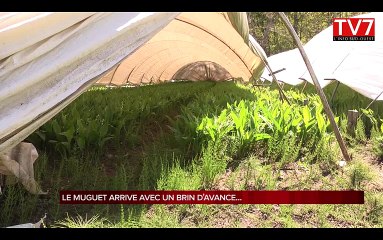 Le muguet est en avance cette année