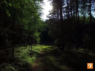 La encantada RUMANIA