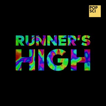 This is your brain on a runner's high
