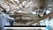 Egypt: Archaeologists discover 3,000-year-old tomb with mummies and more than a thousand statues