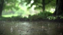 Raindrops SlowMotion