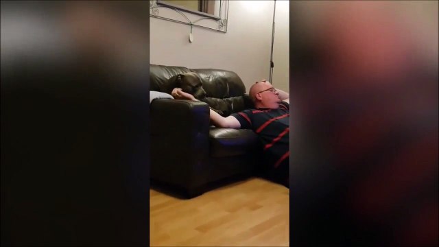 Aller t’arrête pas Ce chien aime vraiment les caresses