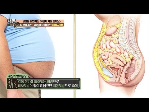 암까지 유발하는 ‘내장지방’ [내 몸 사용설명서] 144회 20170303