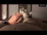 Ruthless Cat Wakes Owner Up and Then Immediately Leaves