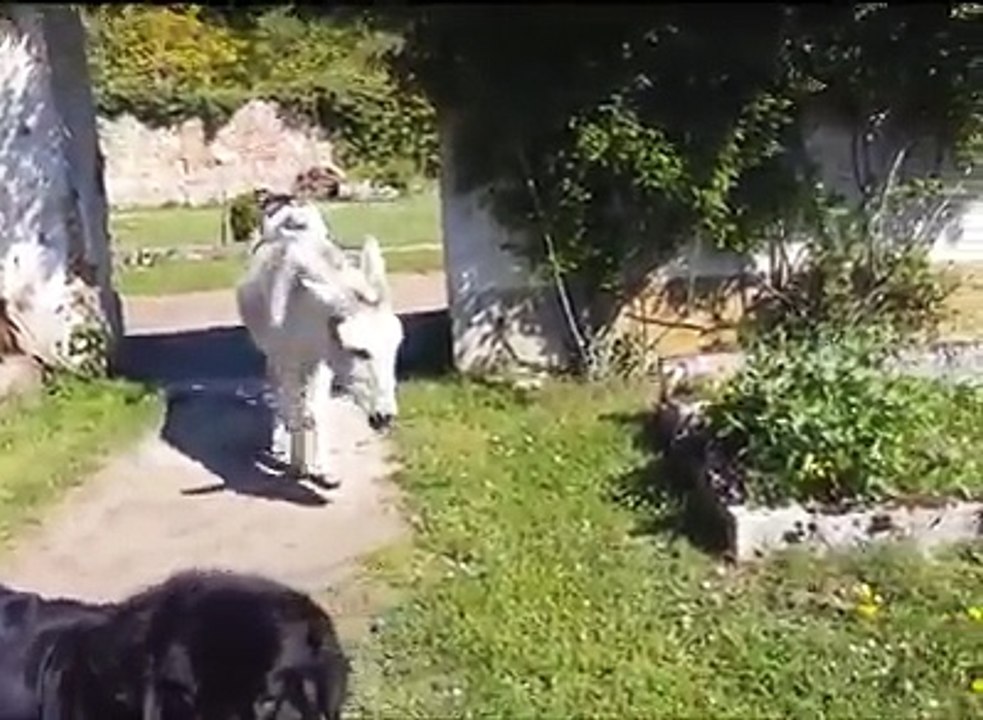 A kad smo umorne, uzmemo taksi :)