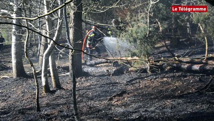 La Roche-Maurice (29). 2.000 m² de végétation partent en fumée