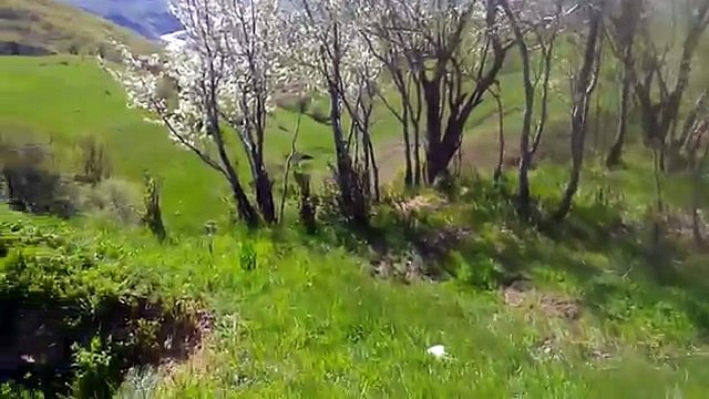 Yürek yakan uzun kürtçe müzik hava dengbej sidar beritan fermane gunde şexane 2016