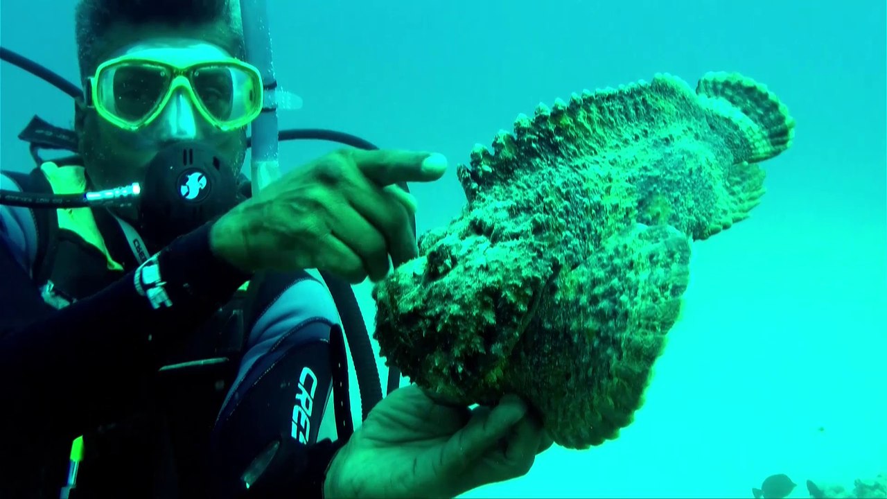 plongee du 17 12 15 Aquarium