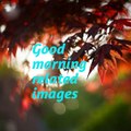 Good morning images,free slideshow ,create a slideshow images