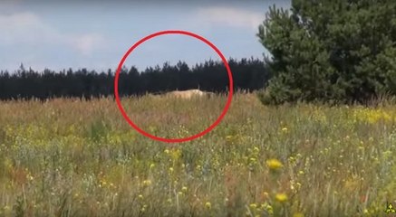 30 anos depois da tragédia de Chernobyl estes pesquisadores fizeram uma descoberta impressionante!
