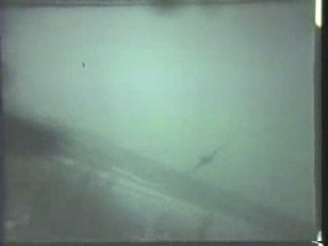 WWII Dogfights